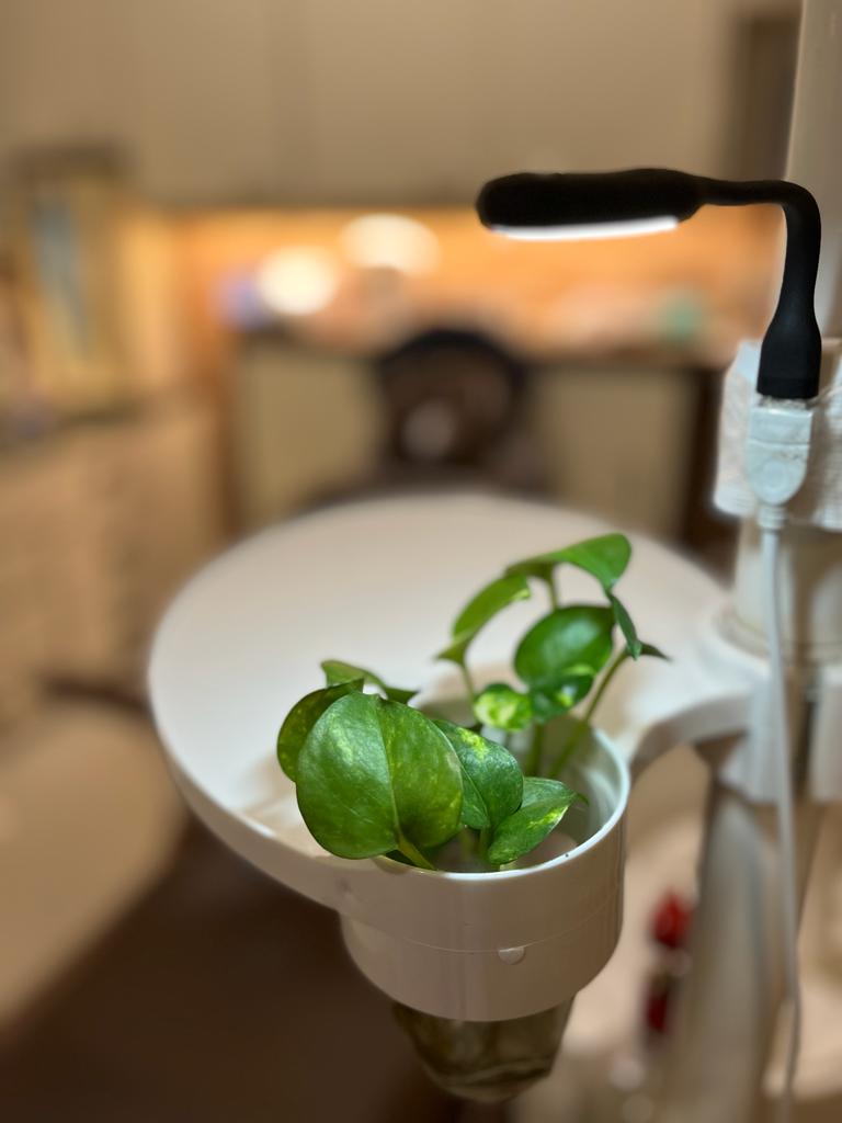 Pearl Dental Clinic